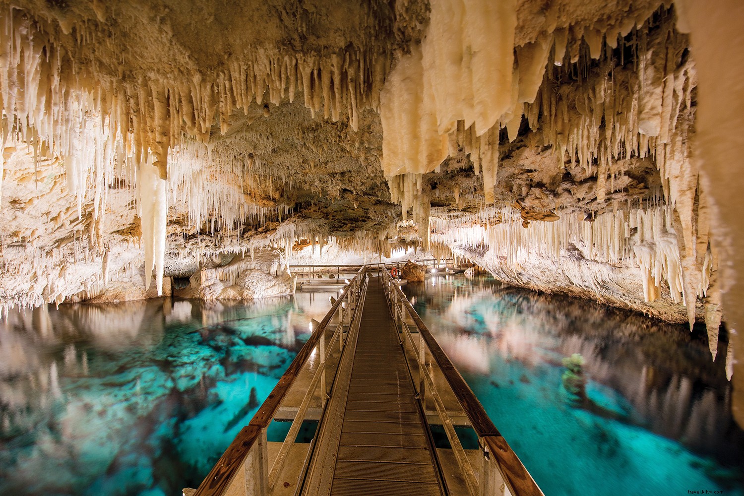 I sei tipi di viaggiatori che hanno bisogno di Bermuda adesso 